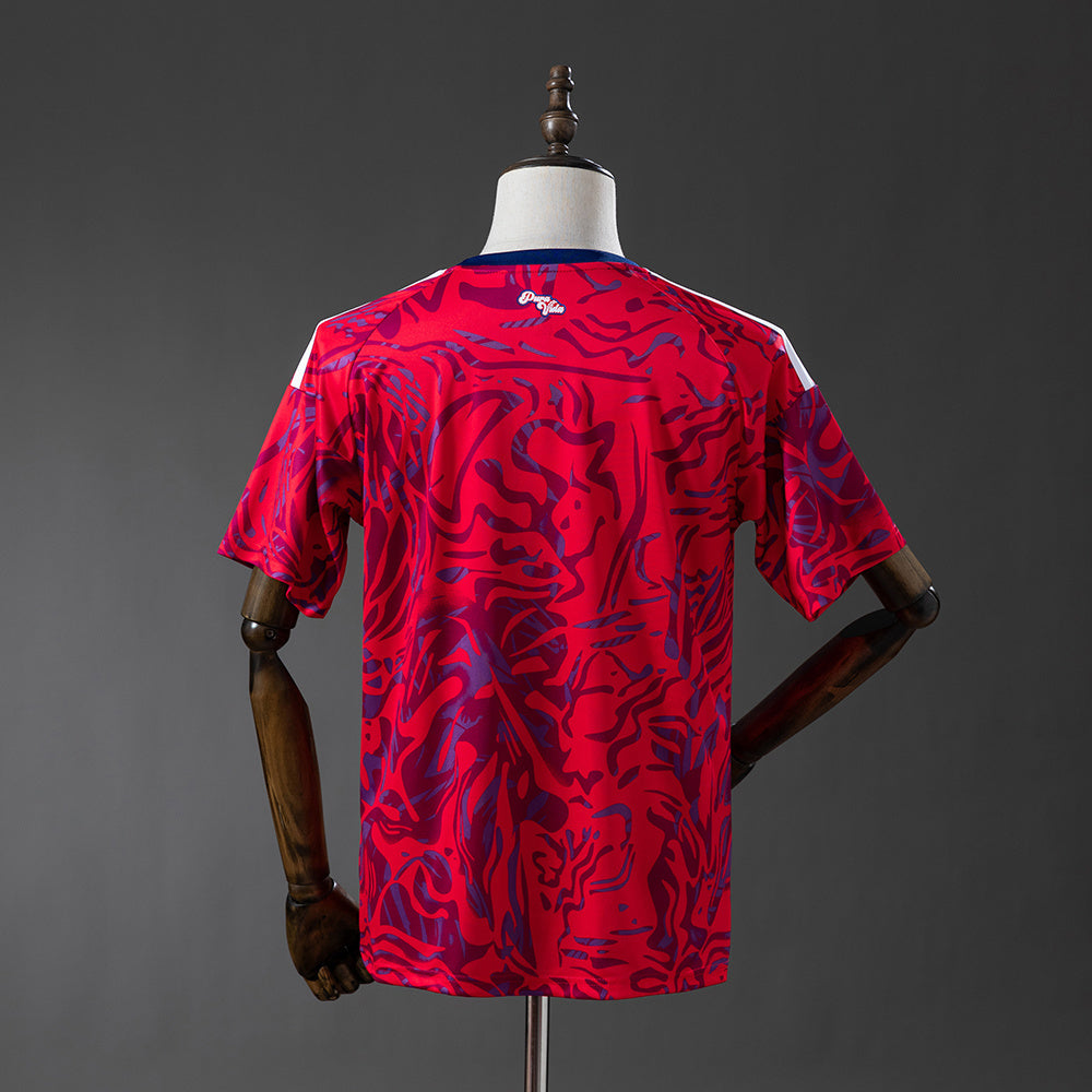 2026 Costa Rica Home S-4XL