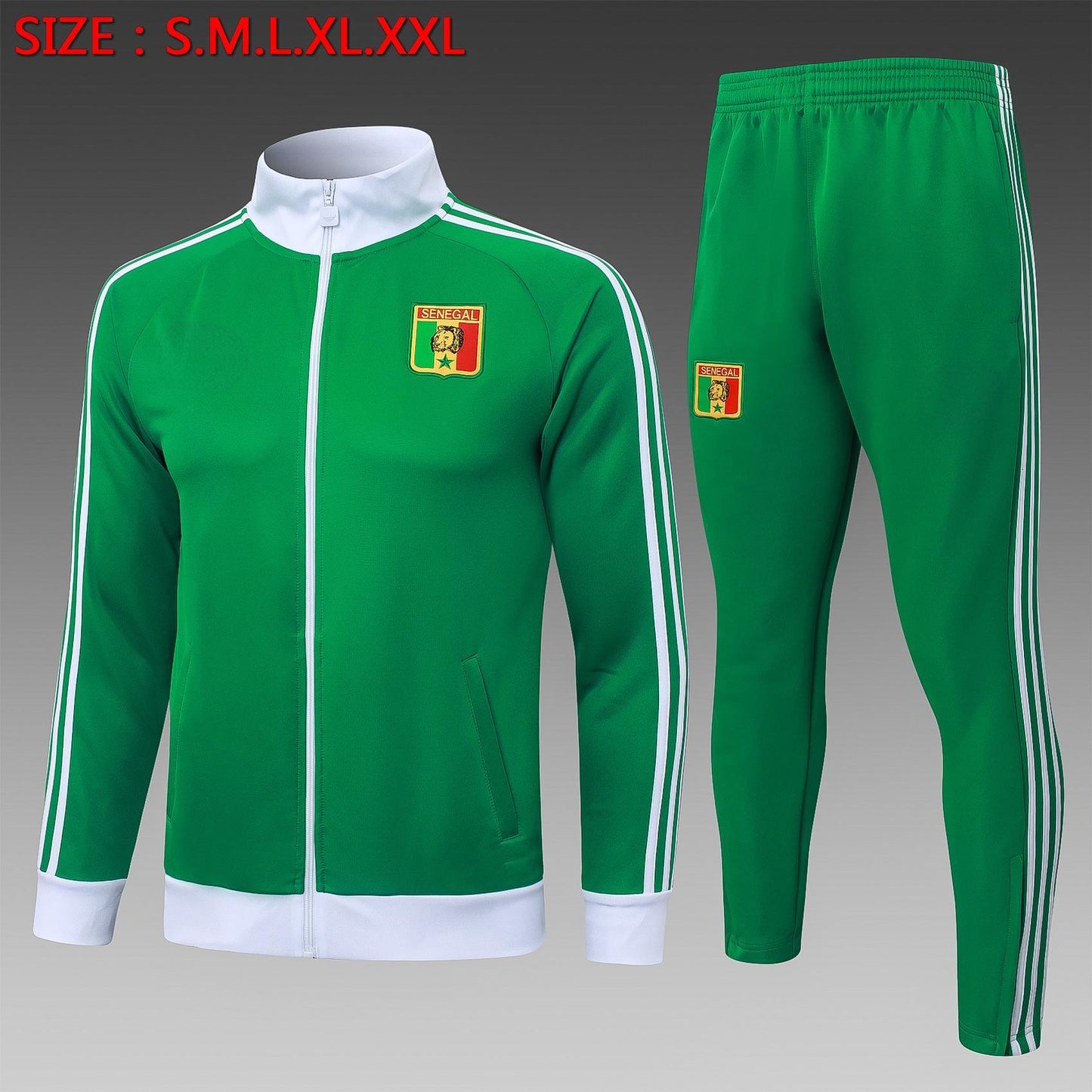 2026-27 Senegal Grüner Langer Trainingsanzug S-2XL