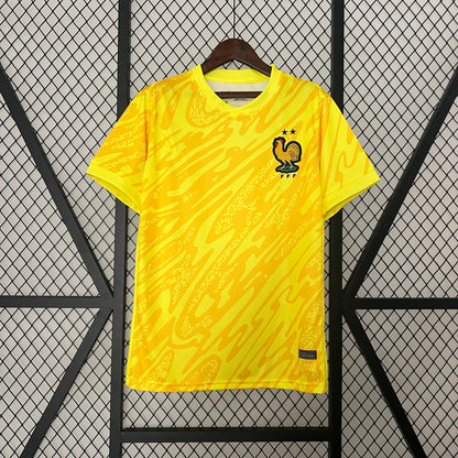 2024-25 Goalkeeper France Yellow S-XXL