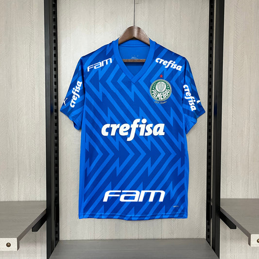 2024-25 Palmeiras Goalkeeper Blue S-XXXXL