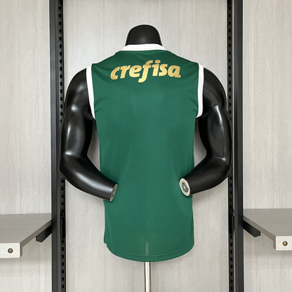 2024/25 Palmeiras Home S-XXXXL