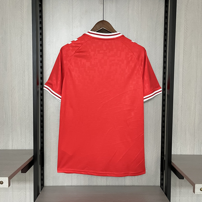 2024/25 Denmark home S-XXL