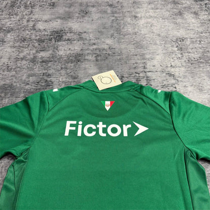 2026-27 Palmeiras Home Kids Sizes 16-28