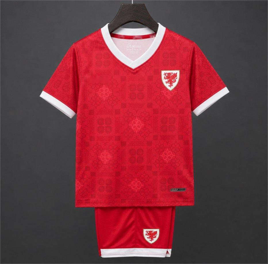 2026 Wales Red with Celtic Pattern Kids Size 16-28