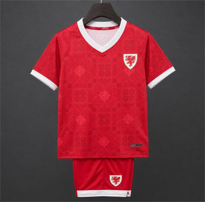 2026 Wales Red with Celtic Pattern Kids Size 16-28