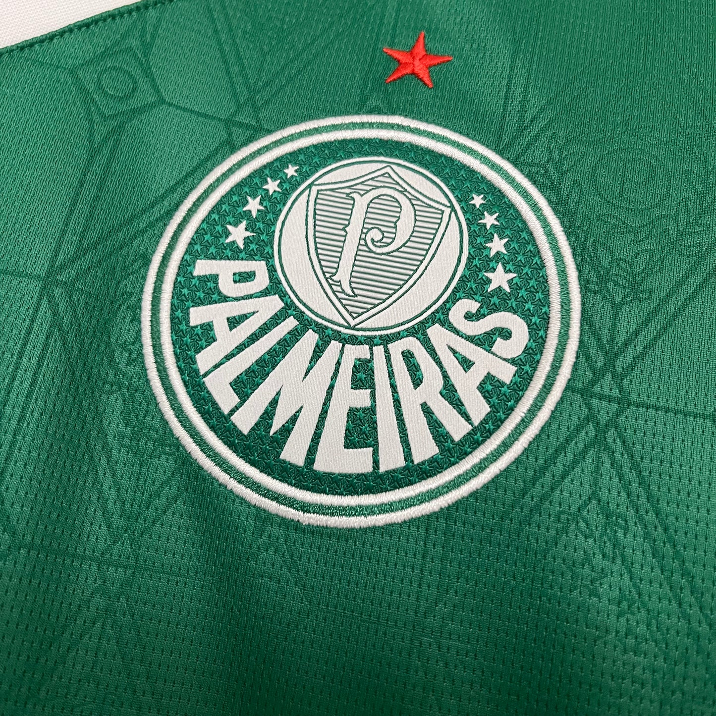 2025-26 Palmeiras home S-4XL