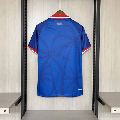 2026  Haiti World Cup Home Jersey S-4XL