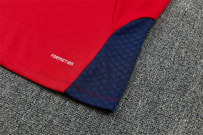 2026 Spain Red 2-Stars Edition Training Suit Adults Or Children