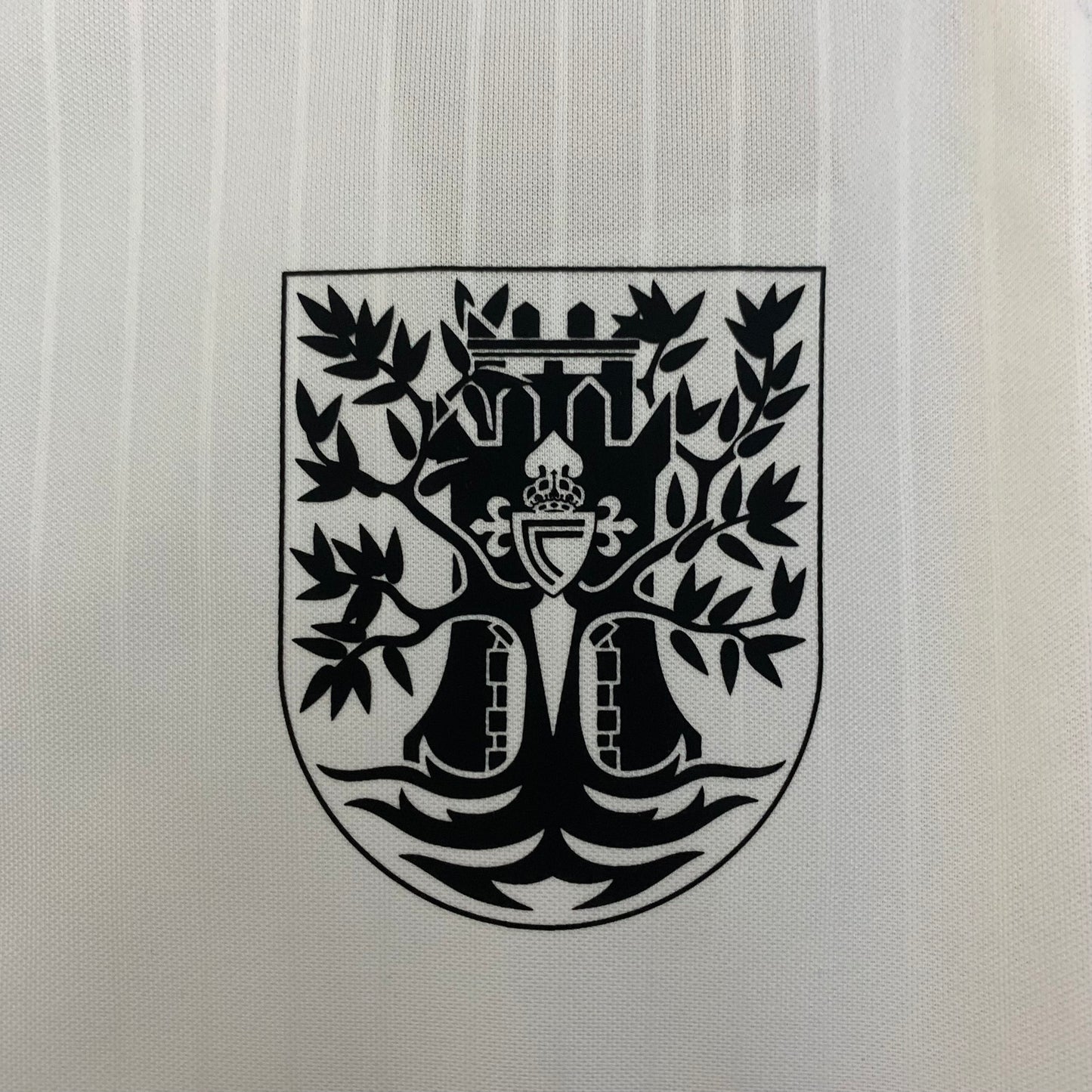 2024-25 Celta Vigo Heimtrikot S-XXL