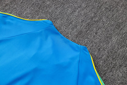 2026 Brazil Lake Blue Half Zip Training Suit Adults Or Children