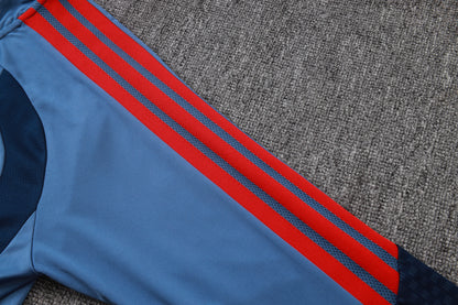 2026-27 Bayern Munich Half Zip Blue Training Suit Adults Or Children