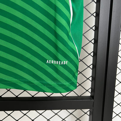 Camiseta de entrenamiento del Newcastle United 2024-25 (talla S-2XL)