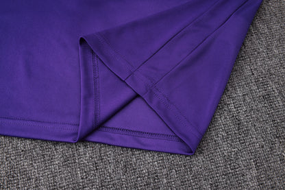 2026-27 Barcelona Purple Half Zip Training Suit Adults Or Children