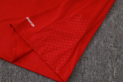 2026 Spain Red Half Zip Training Suit Adults Or Children