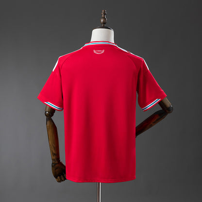 2026 Wales World Cup Home S-4XL