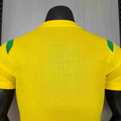 2026 Brazil Special Edition Yellow Players S-2XL