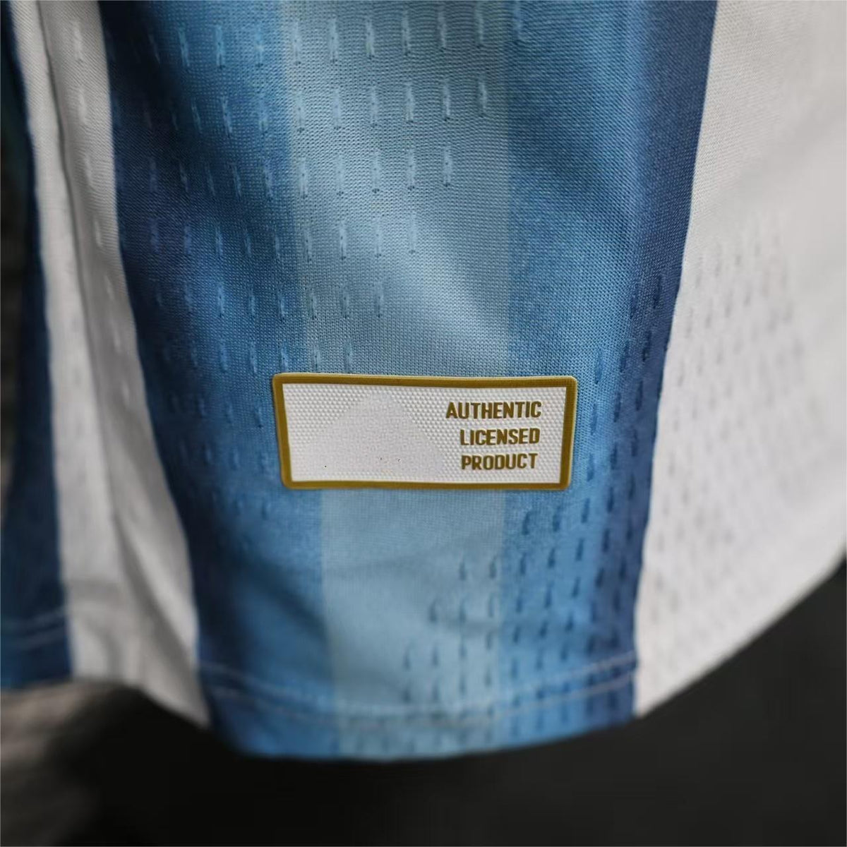 2026 Argentina Home Long Sleeve Player S-3XL