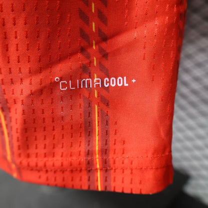 Player Edition 2024-25 Spain Home S-XXXXL